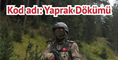 Karadeniz'den PKK'yı kazıyacak operasyon
